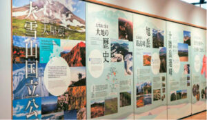 大雪山周辺に生息・生育する動植物を、剥製、樹脂標本、AR展示で紹介しています。