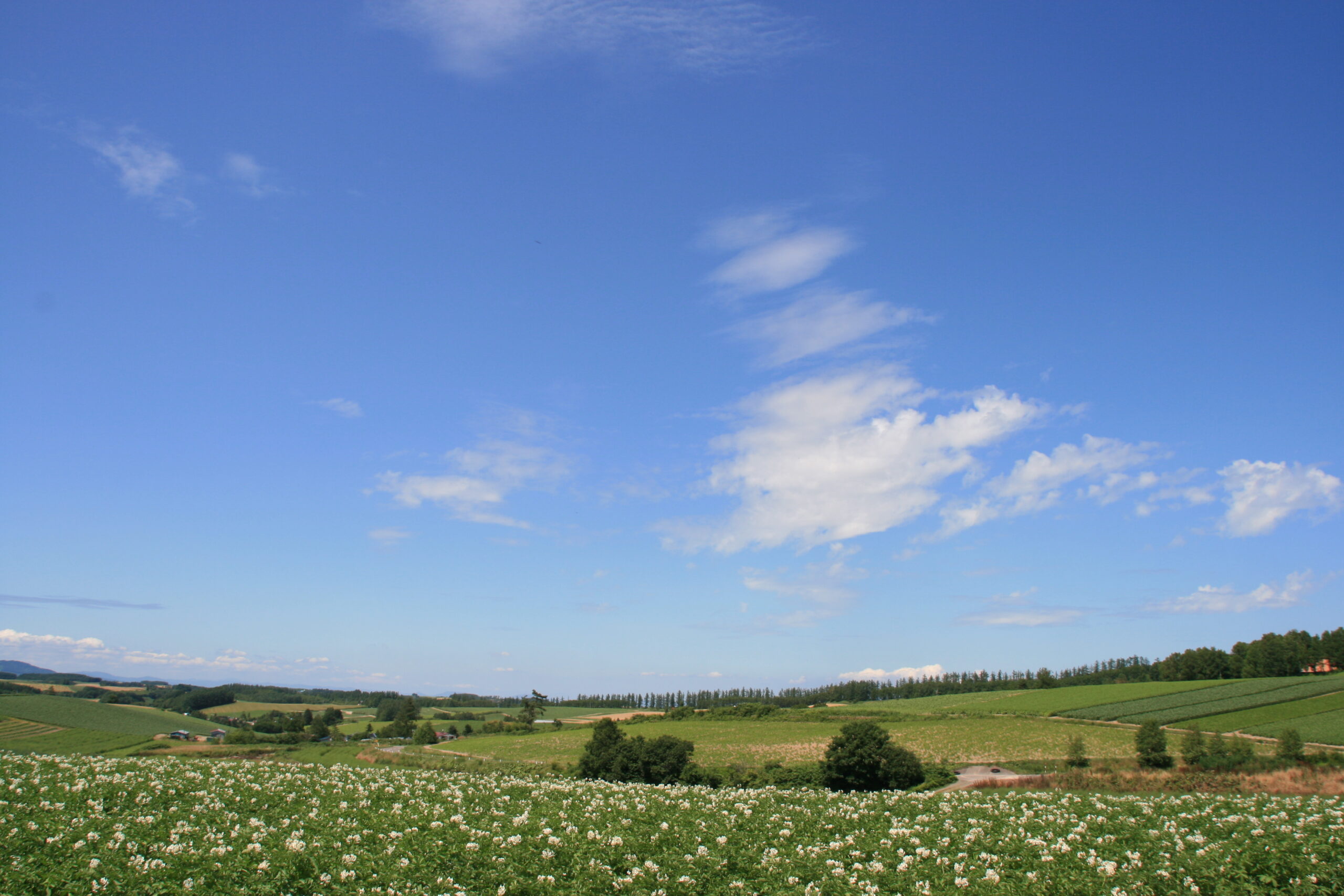 三愛の丘展望公園