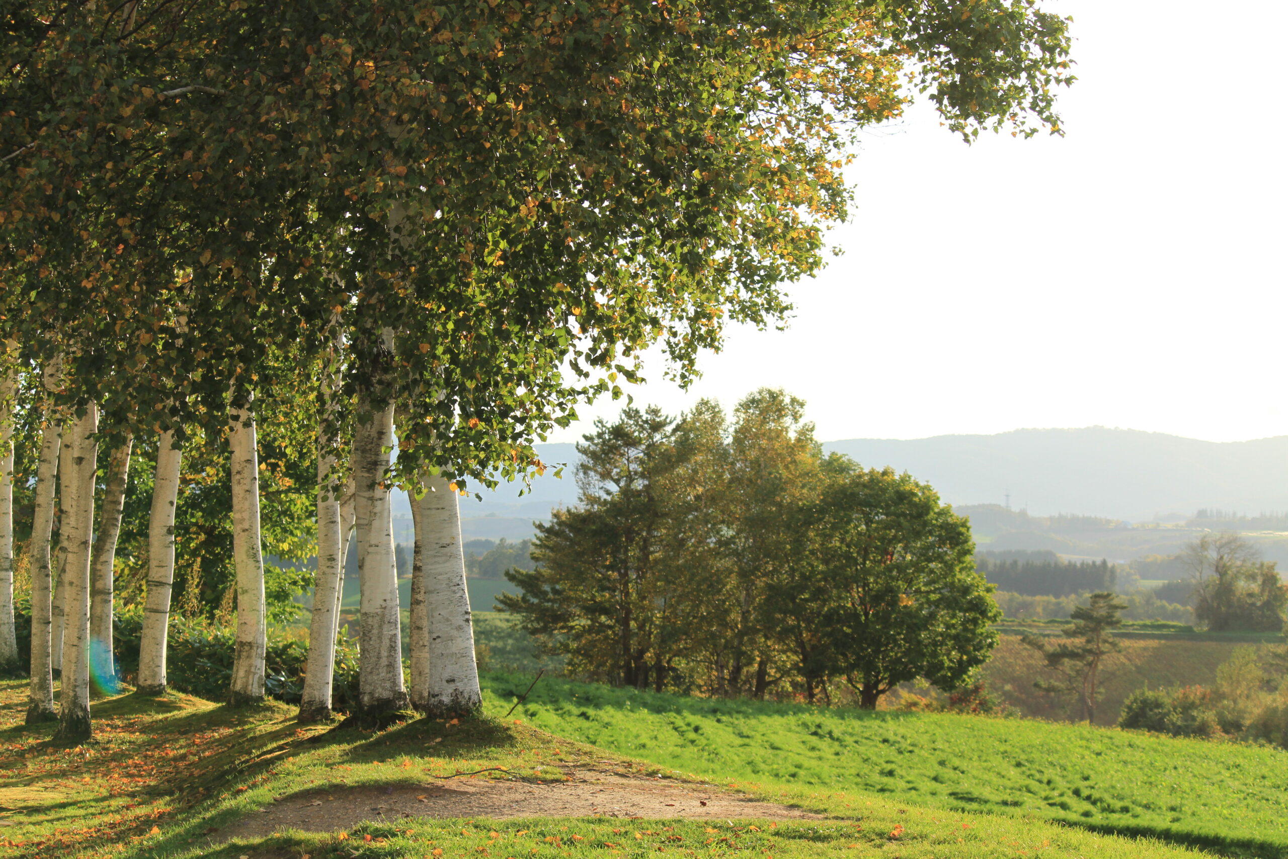三愛の丘展望公園