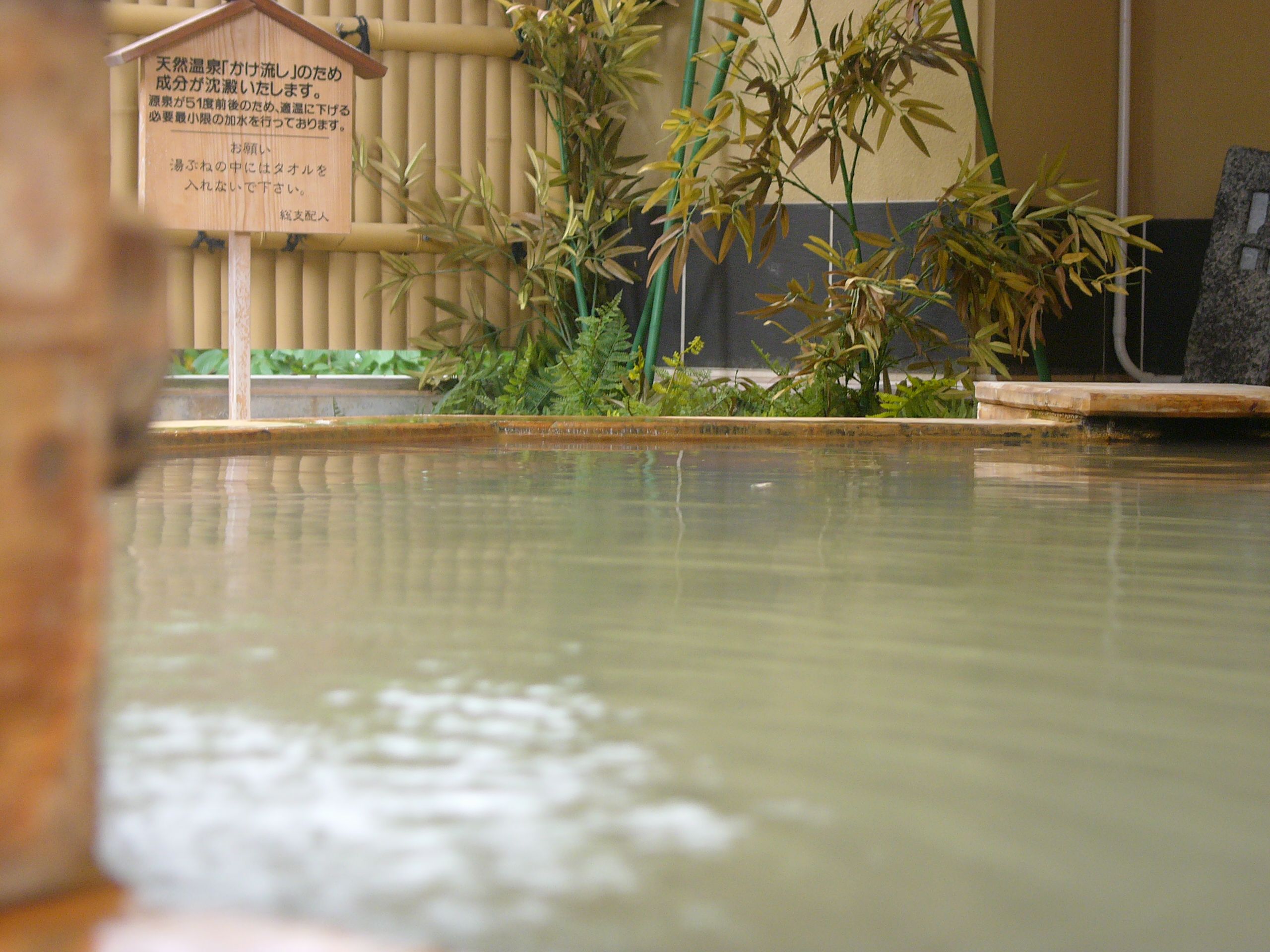 白金の美瑛・東川・絶景とグルメ満喫日帰りドライブツアー