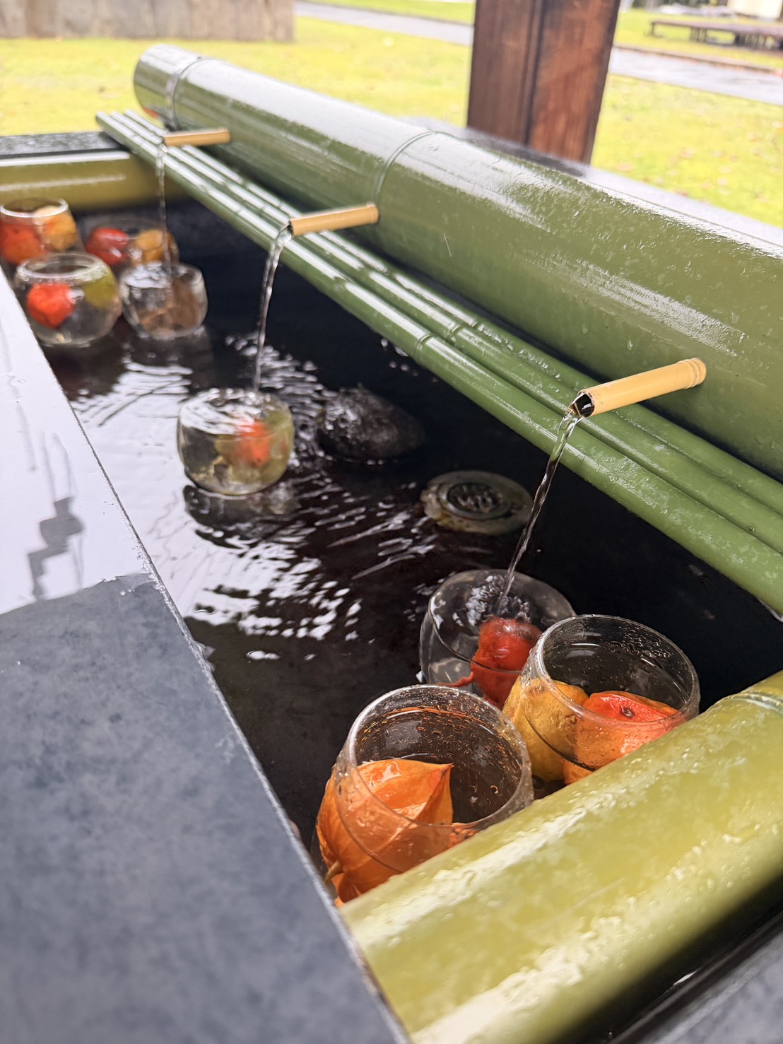 白金の美瑛・東川・絶景とグルメ満喫日帰りドライブツアー